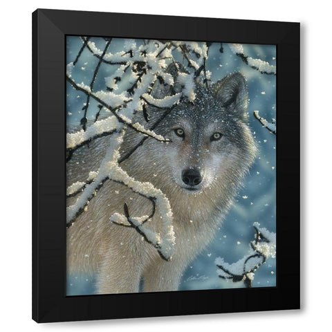 Wolf - Broken Silence Black Modern Wood Framed Art Print by Bogle, Collin