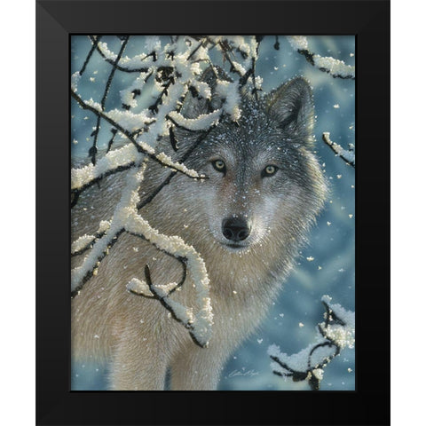 Wolf - Broken Silence Black Modern Wood Framed Art Print by Bogle, Collin