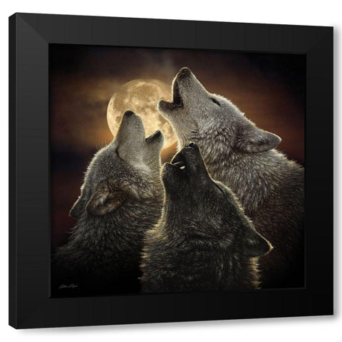 Wolf Trinity Black Modern Wood Framed Art Print by Bogle, Collin