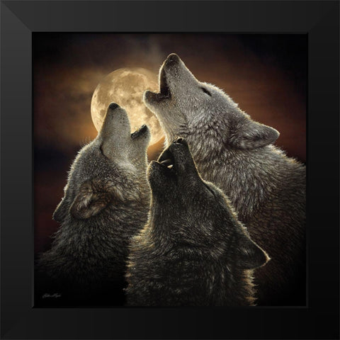 Wolf Trinity Black Modern Wood Framed Art Print by Bogle, Collin