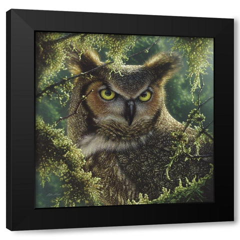 Great Horned Owl - Watching and Waiting Black Modern Wood Framed Art Print by Bogle, Collin