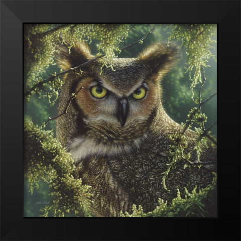 Great Horned Owl - Watching and Waiting Black Modern Wood Framed Art Print by Bogle, Collin