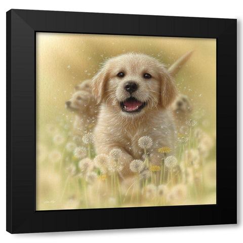Golden Retriever Puppy - Dandelions - Square Black Modern Wood Framed Art Print by Bogle, Collin