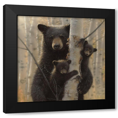 Black Bear Mother and Cubs - Mama Bear Black Modern Wood Framed Art Print with Double Matting by Bogle, Collin