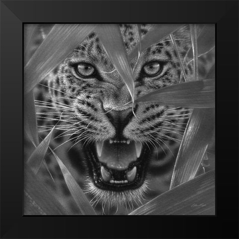 Jaguar - Ambush - BandW Black Modern Wood Framed Art Print by Bogle, Collin