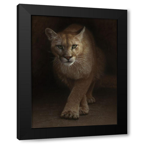Cougar - Emergence Black Modern Wood Framed Art Print with Double Matting by Bogle, Collin