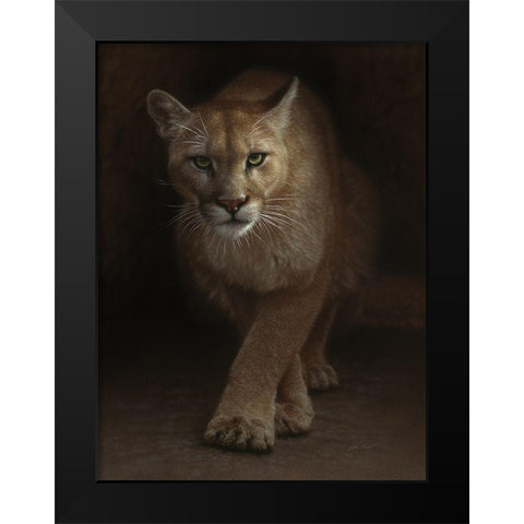 Cougar - Emergence Black Modern Wood Framed Art Print by Bogle, Collin
