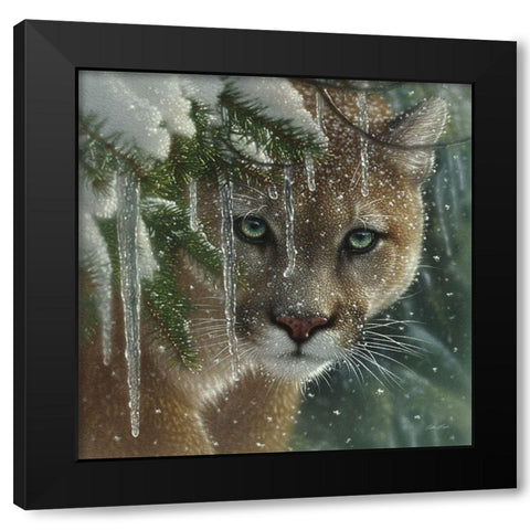Cougar - Frozen Black Modern Wood Framed Art Print with Double Matting by Bogle, Collin