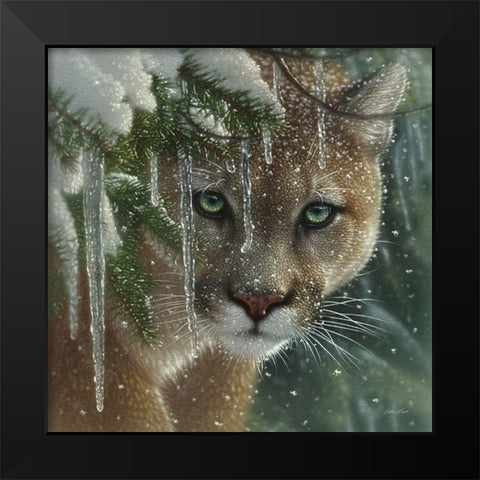 Cougar - Frozen Black Modern Wood Framed Art Print by Bogle, Collin