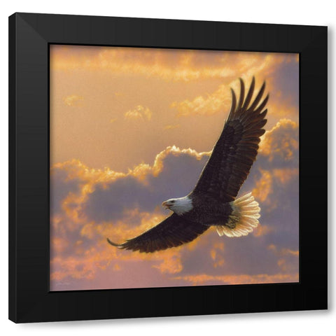 Soaring Spirit Black Modern Wood Framed Art Print with Double Matting by Bogle, Collin