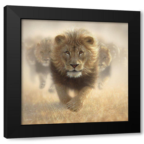 Eat My Dust Black Modern Wood Framed Art Print with Double Matting by Bogle, Collin