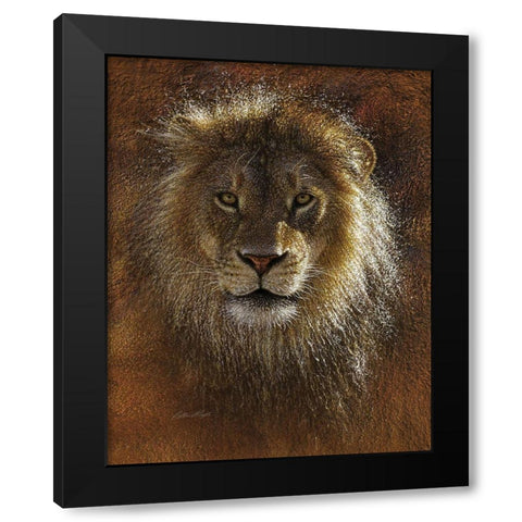 Face Off Black Modern Wood Framed Art Print with Double Matting by Bogle, Collin