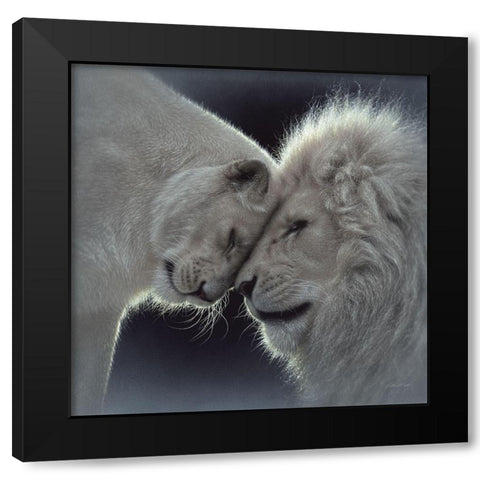 White Lion Love Black Modern Wood Framed Art Print with Double Matting by Bogle, Collin