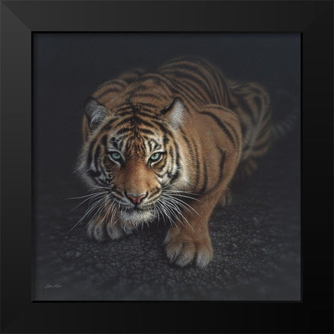 Crouching Tiger Black Modern Wood Framed Art Print by Bogle, Collin