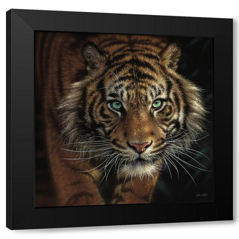 Eye of the Tiger - Square Black Modern Wood Framed Art Print with Double Matting by Bogle, Collin