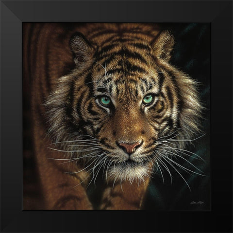 Eye of the Tiger - Square Black Modern Wood Framed Art Print by Bogle, Collin