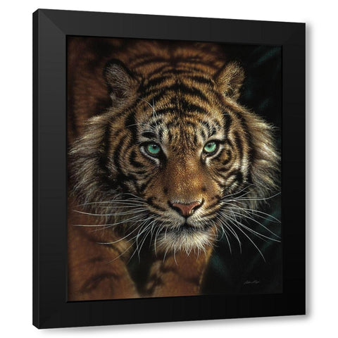 Eye of the Tiger Black Modern Wood Framed Art Print by Bogle, Collin