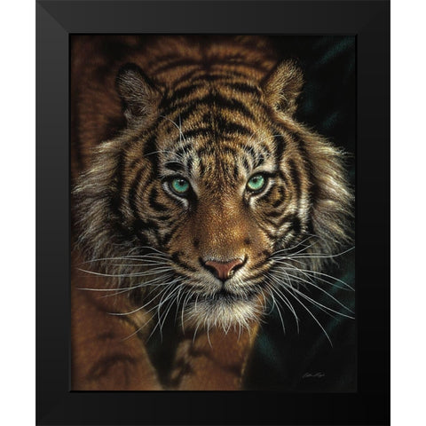 Eye of the Tiger Black Modern Wood Framed Art Print by Bogle, Collin
