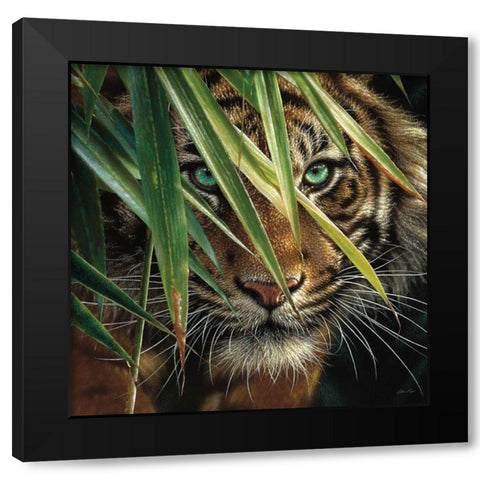 Tiger Eyes Black Modern Wood Framed Art Print with Double Matting by Bogle, Collin