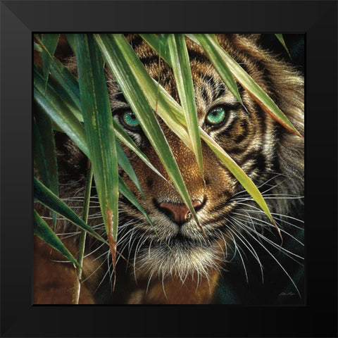 Tiger Eyes Black Modern Wood Framed Art Print by Bogle, Collin