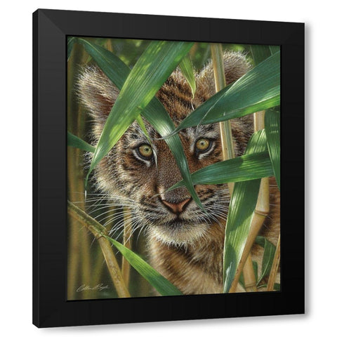 Tiger Cub - Peekaboo Black Modern Wood Framed Art Print with Double Matting by Bogle, Collin