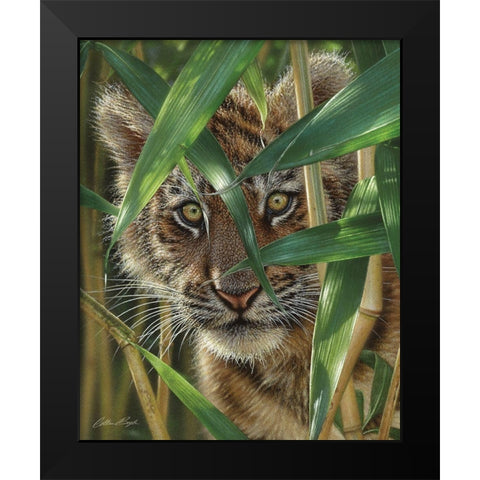 Tiger Cub - Peekaboo Black Modern Wood Framed Art Print by Bogle, Collin