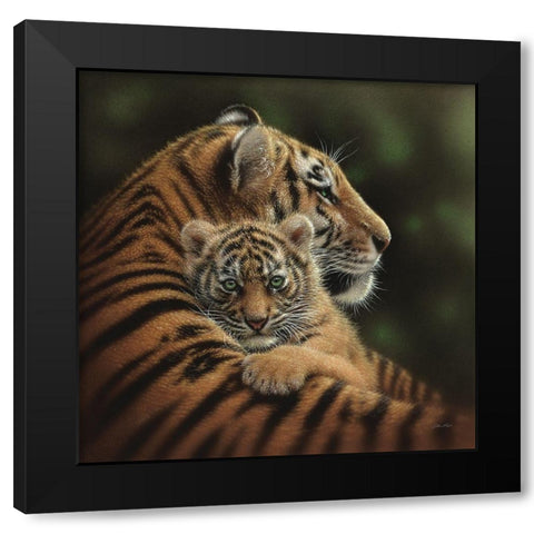 Tiger Mother and Cub - Cherished Black Modern Wood Framed Art Print with Double Matting by Bogle, Collin