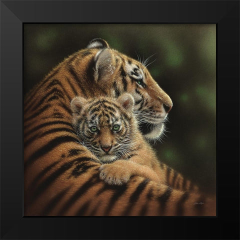 Tiger Mother and Cub - Cherished Black Modern Wood Framed Art Print by Bogle, Collin
