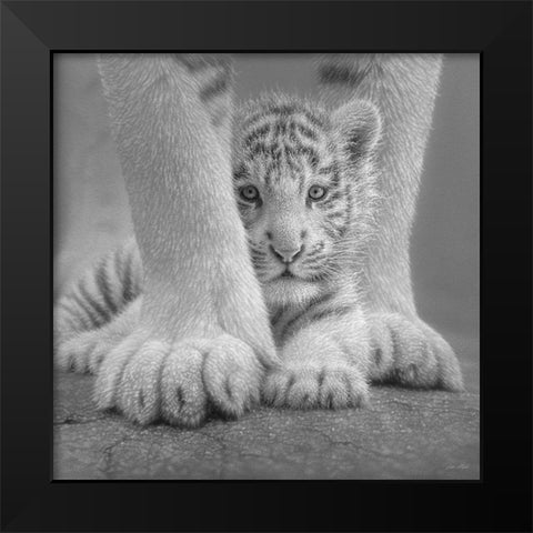 White Tiger Cub - Sheltered - BandW Black Modern Wood Framed Art Print by Bogle, Collin