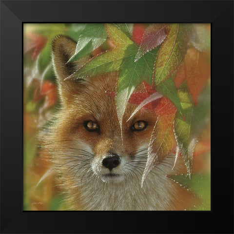 Autumn Red Fox Black Modern Wood Framed Art Print by Bogle, Collin
