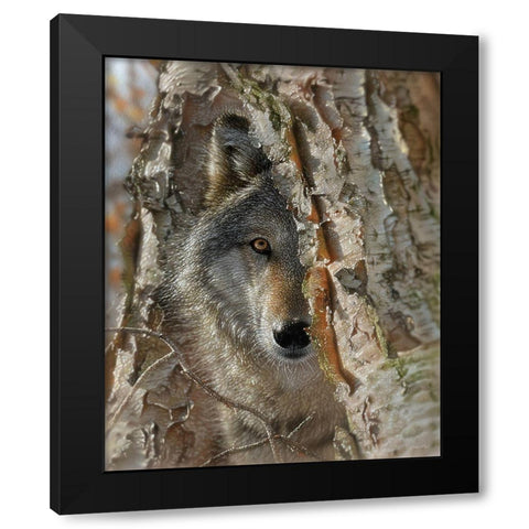Close Encounter Black Modern Wood Framed Art Print with Double Matting by Bogle, Collin