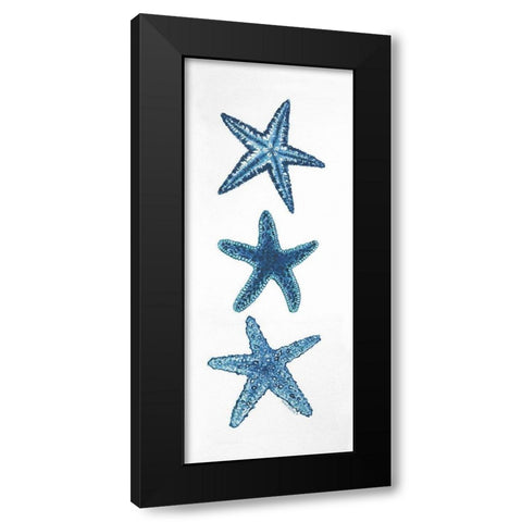 Starfish Black Modern Wood Framed Art Print with Double Matting by Shamp, Cindy