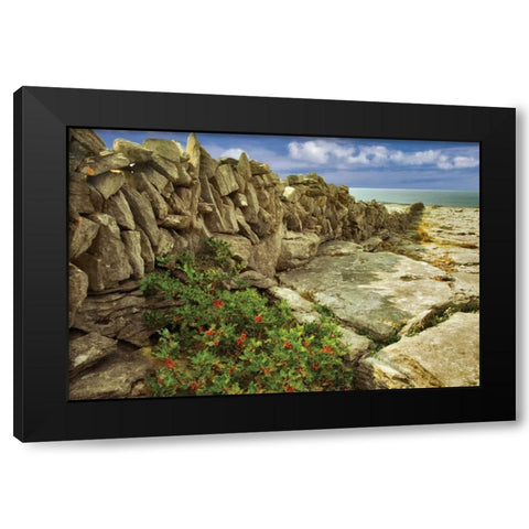Through the Cracks Black Modern Wood Framed Art Print with Double Matting by Frates, Dennis