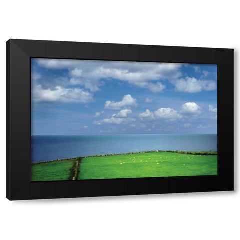 Sheep Herd Black Modern Wood Framed Art Print by Frates, Dennis