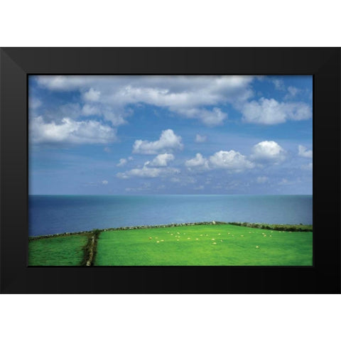 Sheep Herd Black Modern Wood Framed Art Print by Frates, Dennis