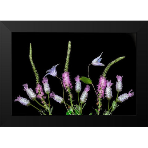 Botanical X Black Modern Wood Framed Art Print by Frates, Dennis