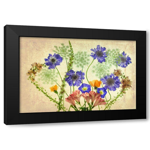Botanical IX Black Modern Wood Framed Art Print with Double Matting by Frates, Dennis