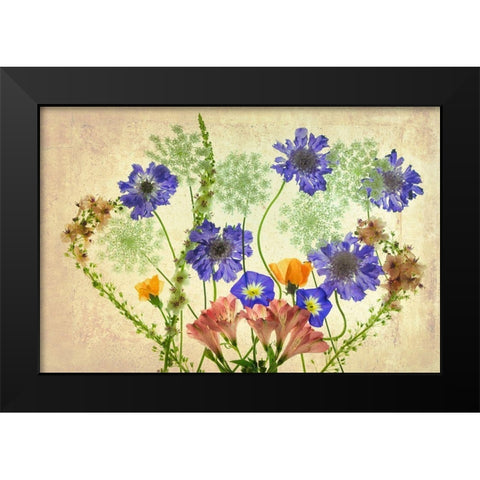 Botanical IX Black Modern Wood Framed Art Print by Frates, Dennis