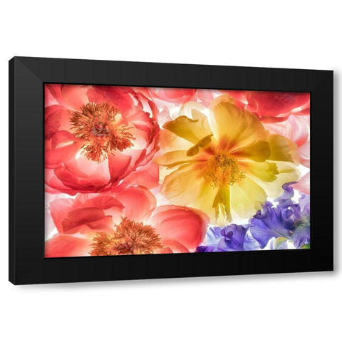 Botanical VIII Black Modern Wood Framed Art Print with Double Matting by Frates, Dennis