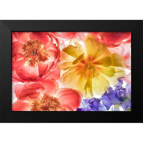 Botanical VIII Black Modern Wood Framed Art Print by Frates, Dennis
