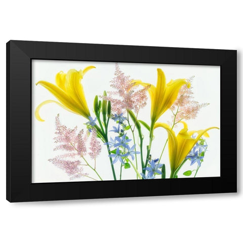 Botanical V Black Modern Wood Framed Art Print by Frates, Dennis