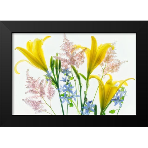 Botanical V Black Modern Wood Framed Art Print by Frates, Dennis
