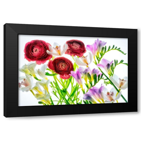 Botanical IV Black Modern Wood Framed Art Print by Frates, Dennis