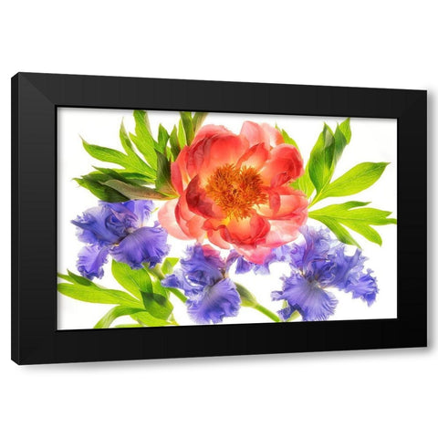 Botanical III Black Modern Wood Framed Art Print with Double Matting by Frates, Dennis