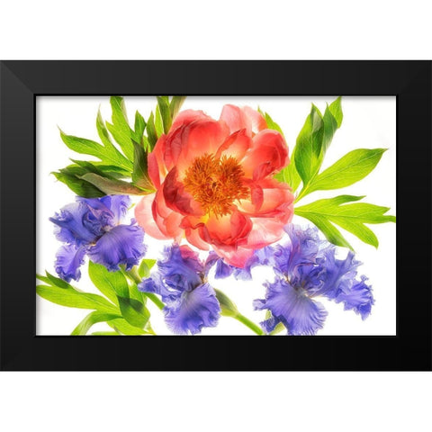 Botanical III Black Modern Wood Framed Art Print by Frates, Dennis