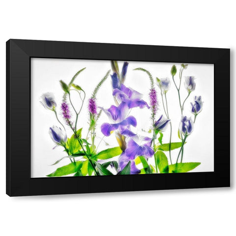 Botanical II Black Modern Wood Framed Art Print with Double Matting by Frates, Dennis