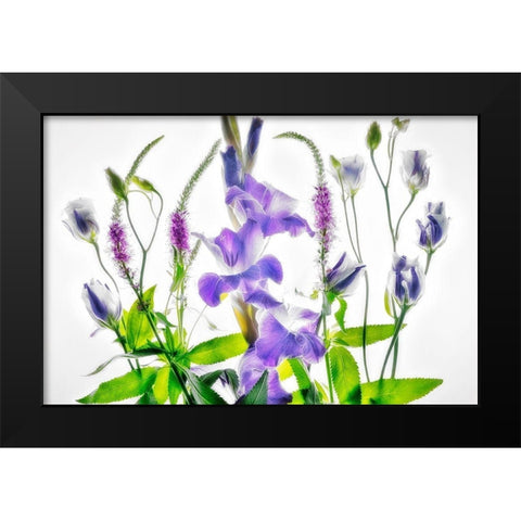 Botanical II Black Modern Wood Framed Art Print by Frates, Dennis
