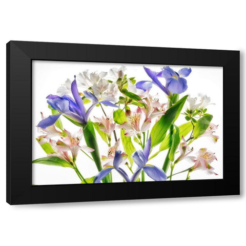 Botanical I Black Modern Wood Framed Art Print by Frates, Dennis
