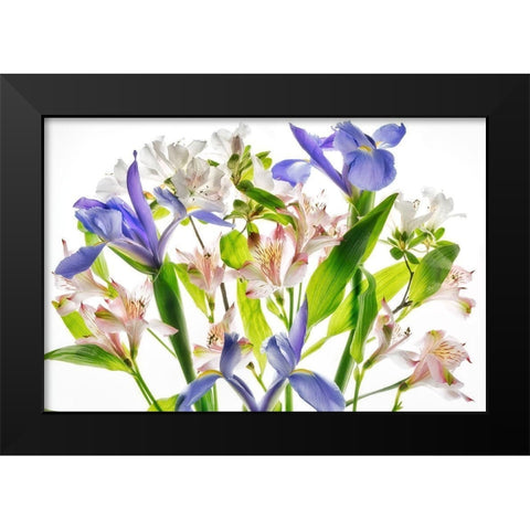Botanical I Black Modern Wood Framed Art Print by Frates, Dennis