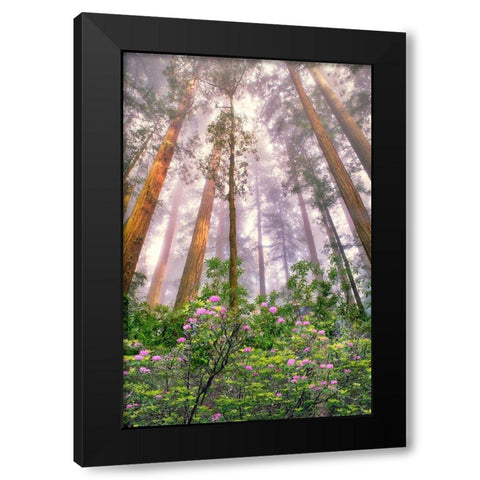 Look Up Black Modern Wood Framed Art Print with Double Matting by Frates, Dennis